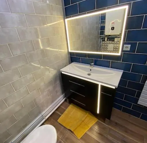 Terra Elegant Gare Sncf 4p * 克莱蒙费朗